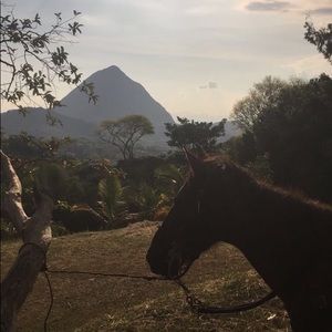 Meet your Posher, Alejandra